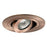 Halo Recessed Lighting Trim, 4" Low Voltage 30 Degree Tilt Adjustable Gimbal Ring Trim - Antique Copper