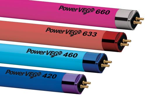 Eye Hortilux 901680 Fluorescent Grow Lamp, PowerVEG Multi-Color Pack, 4 Ft., 54W, T5 - 24 Pack
