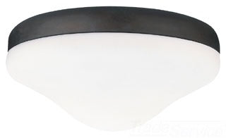 Sea Gull Lighting Ceiling Fan Light Kit, 13W E26 Base Compact Fluorescent, 2-Lamp - Raman Bronze