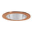 Elco Lighting Recessed Lighting Trim, 4" Low Voltage Shower Trim with Clear Lens - Copper